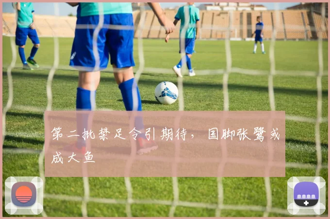 第二批禁足令引期待，国脚张鹭或成大鱼