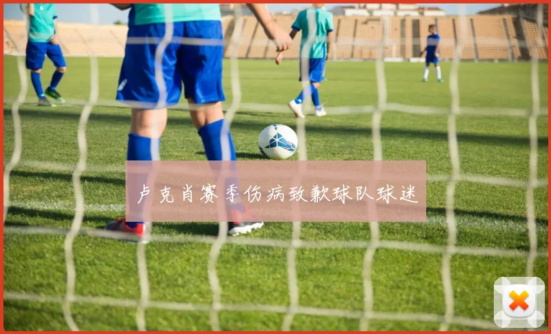 卢克肖赛季伤病致歉球队球迷