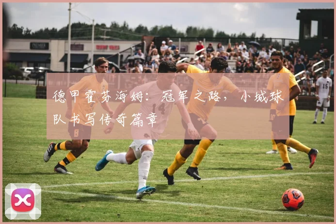 德甲霍芬海姆：冠军之路，小城球队书写传奇篇章